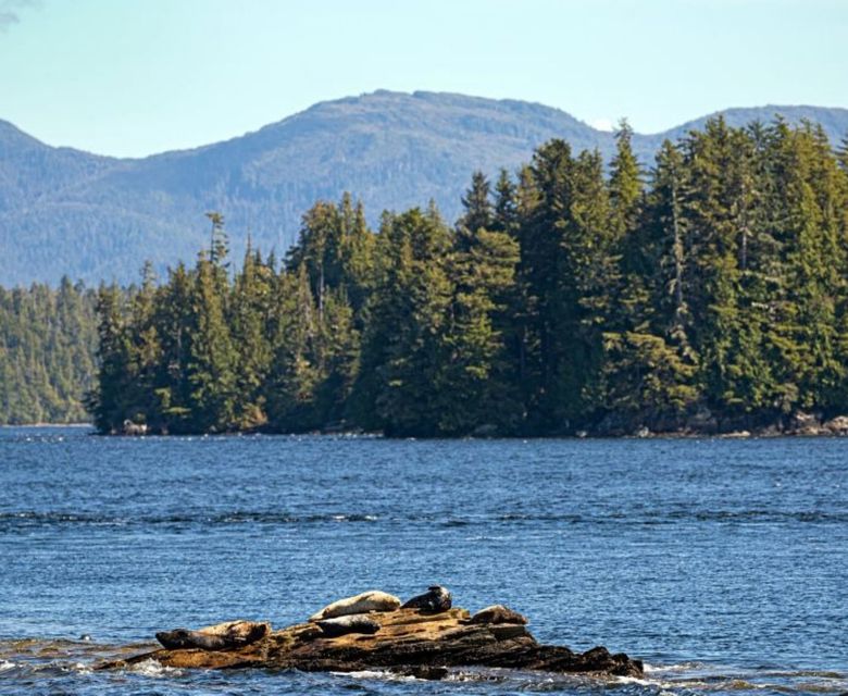 Ketchikan Landscape