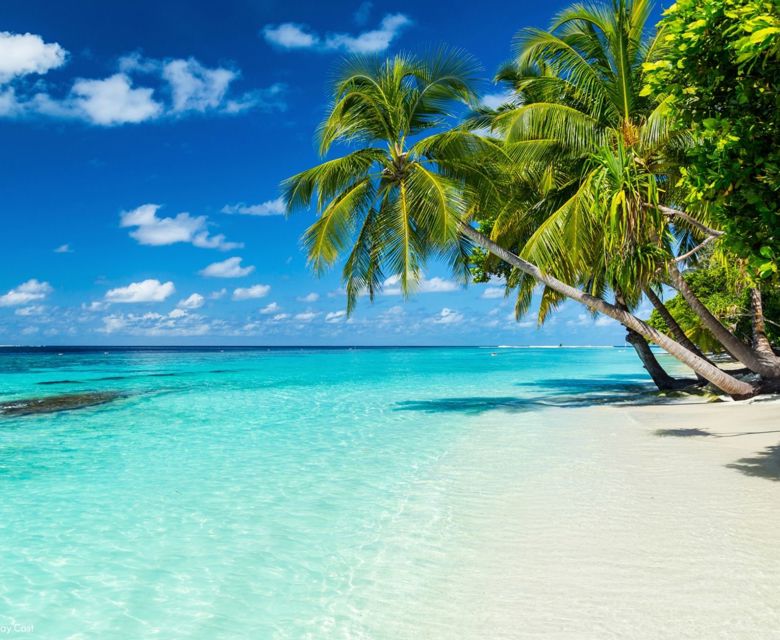 Our Latest Pacific Islands Deals