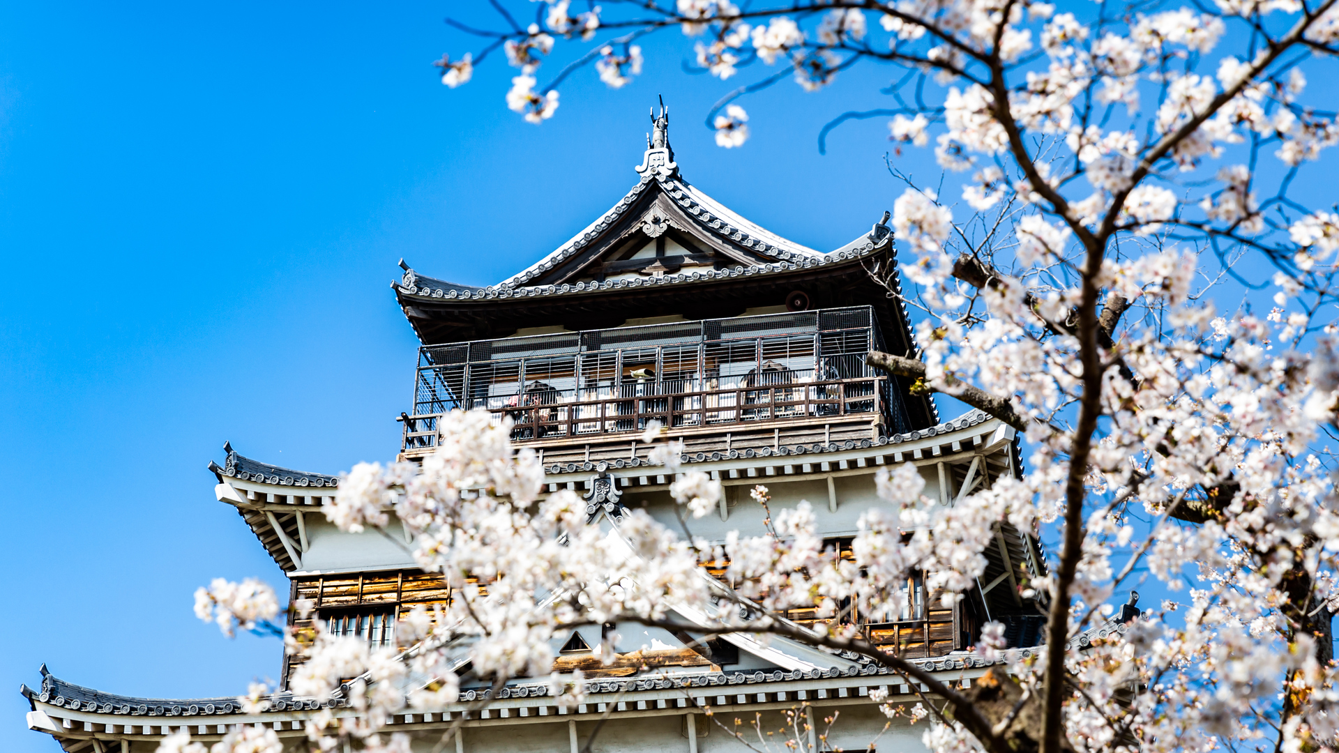 Hiroshima Castle - Hiroshima, Japan