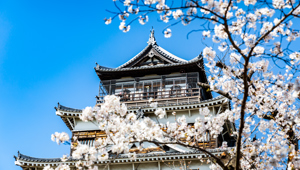 Hiroshima Castle - Hiroshima, Japan