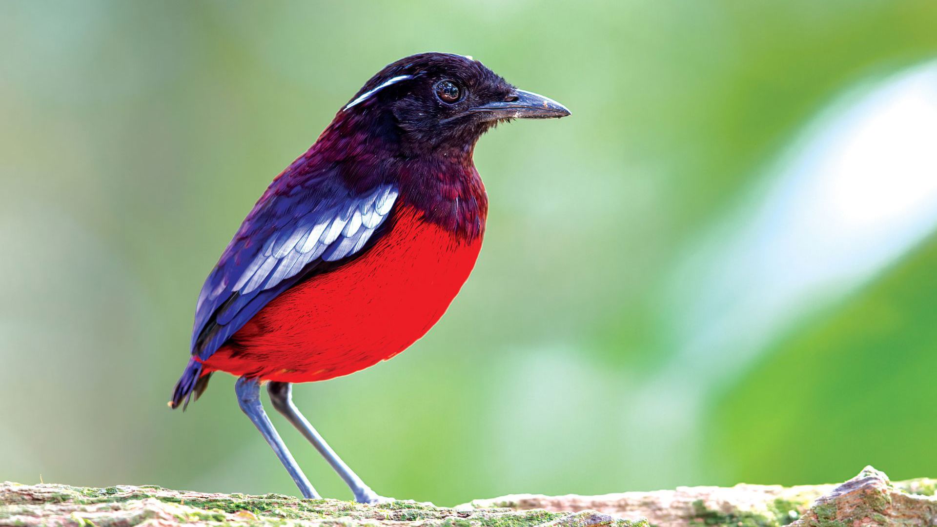 Sepilok - Total Holiday Options