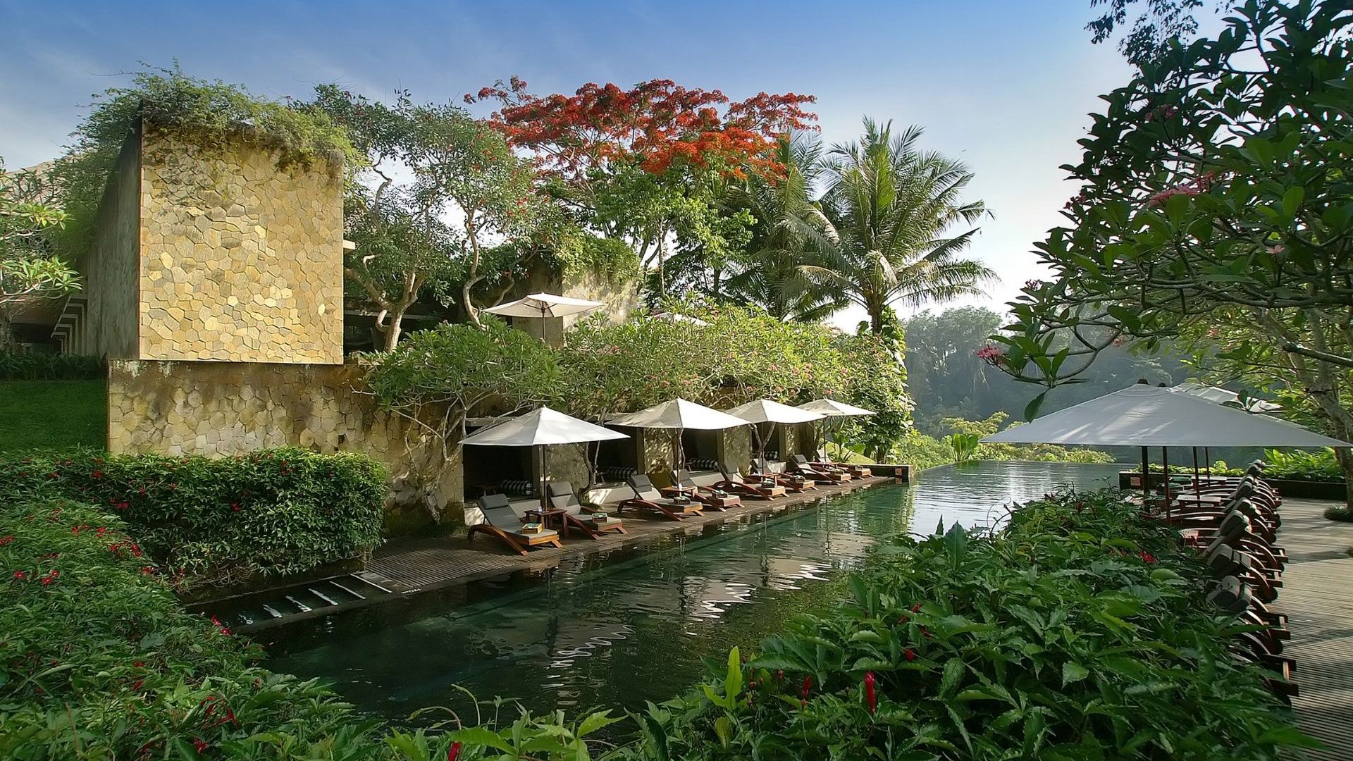 Maya Ubud Resort & Spa - Swimming Pool