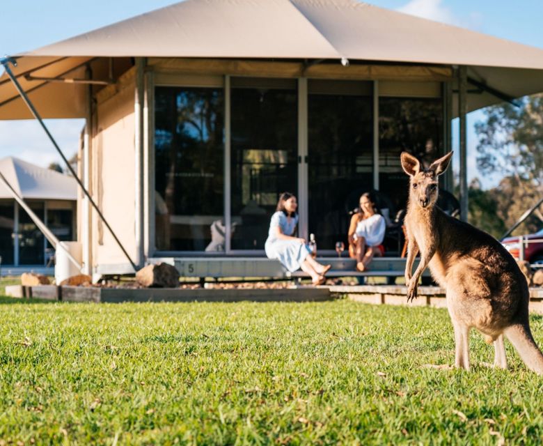 Habitat Noosa - Paperback Glamping Tent