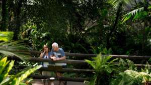 Couple in Queensland