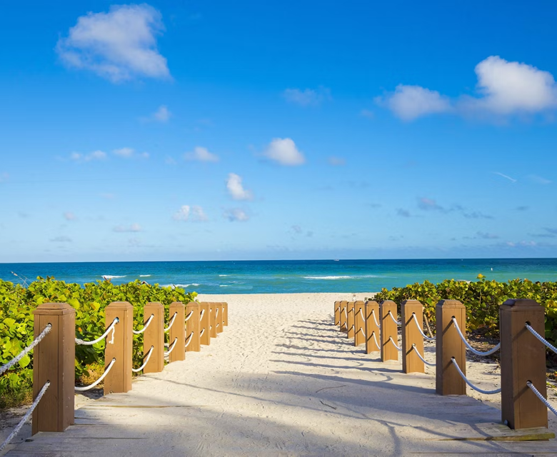 Miami Beach Sandy Beach Sun Ocean