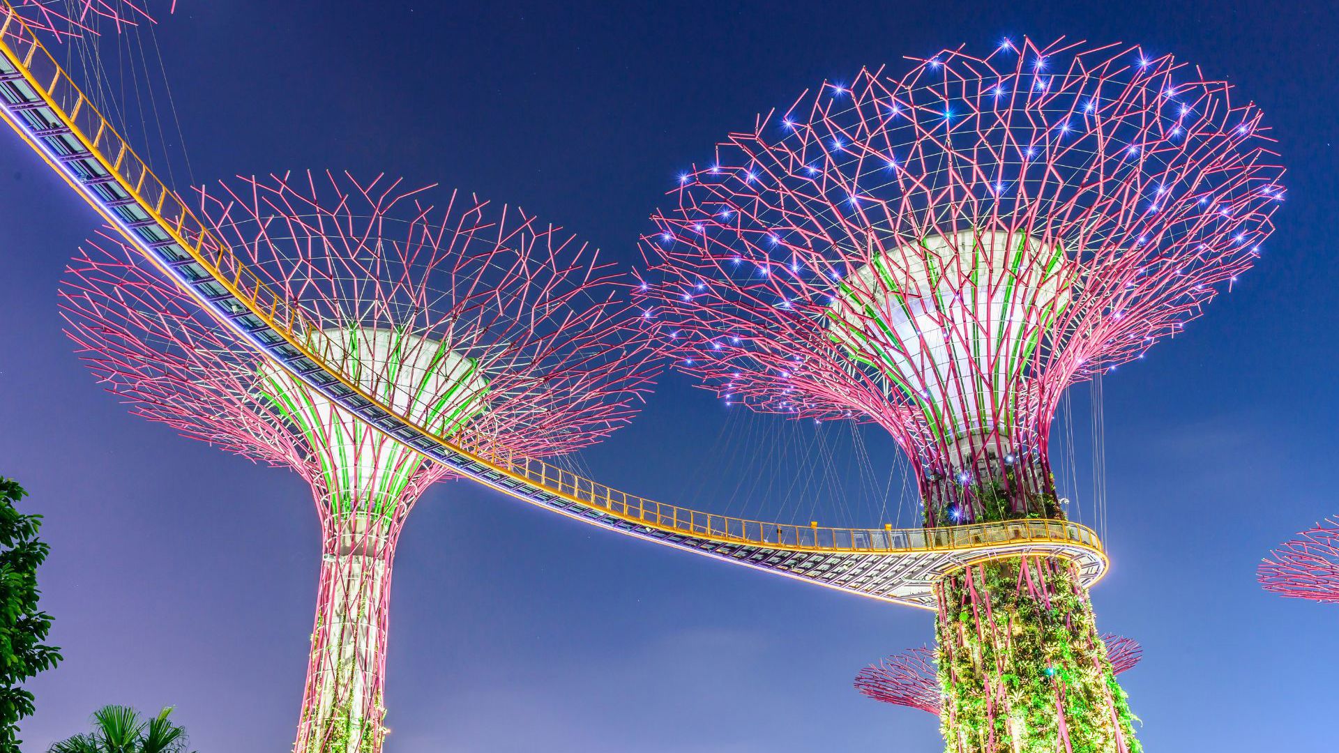 Night view of Supertree Grove at the gardens