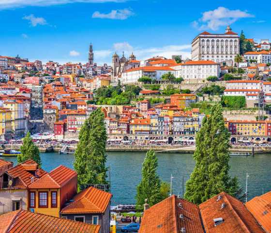 Portugal Douro River Skyline