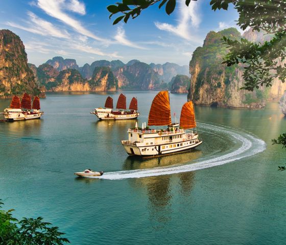 Junk boats in Halong Bay