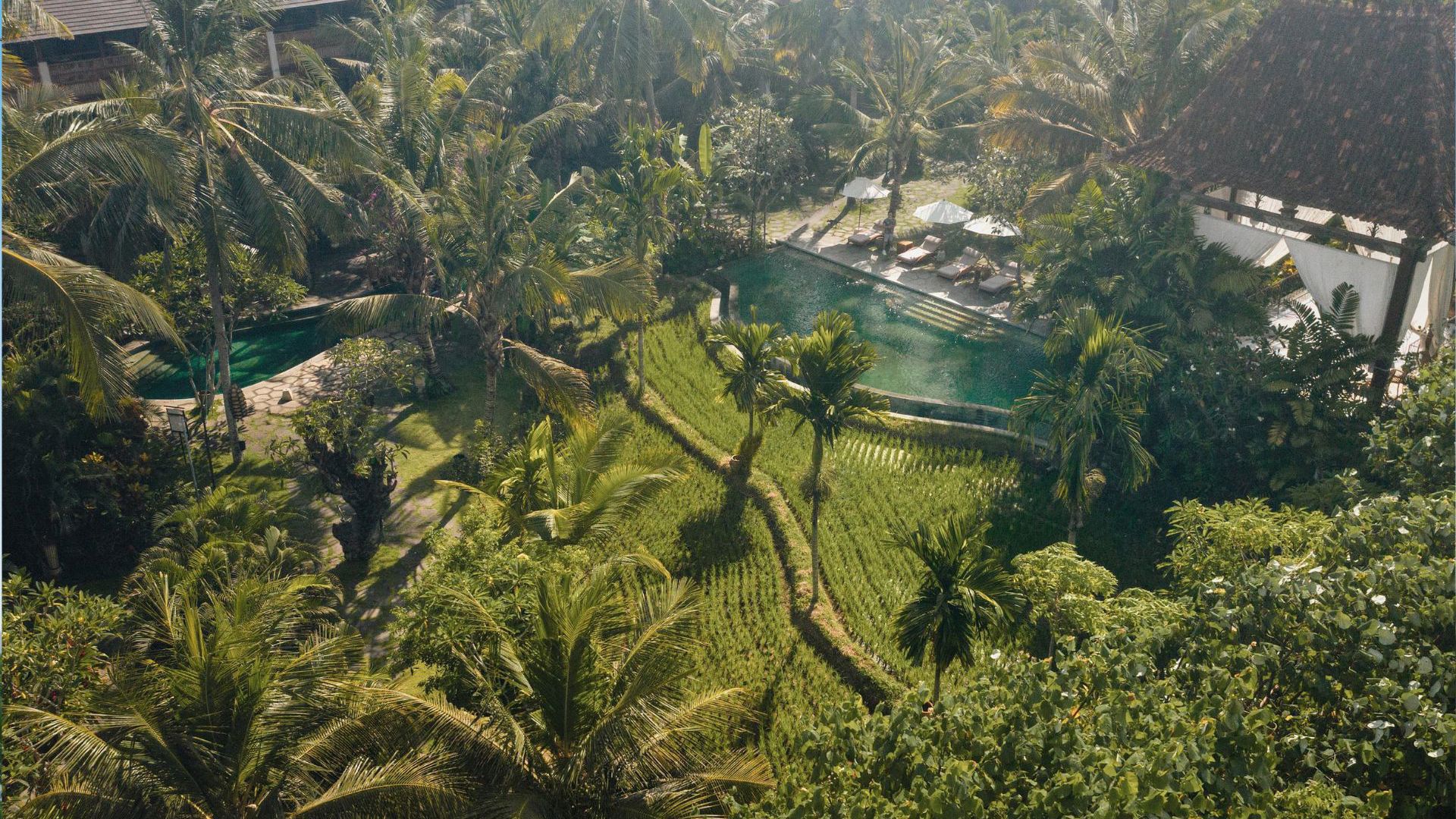  Alaya Resort Ubud Drone View