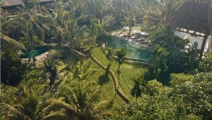  Alaya Resort Ubud Drone View