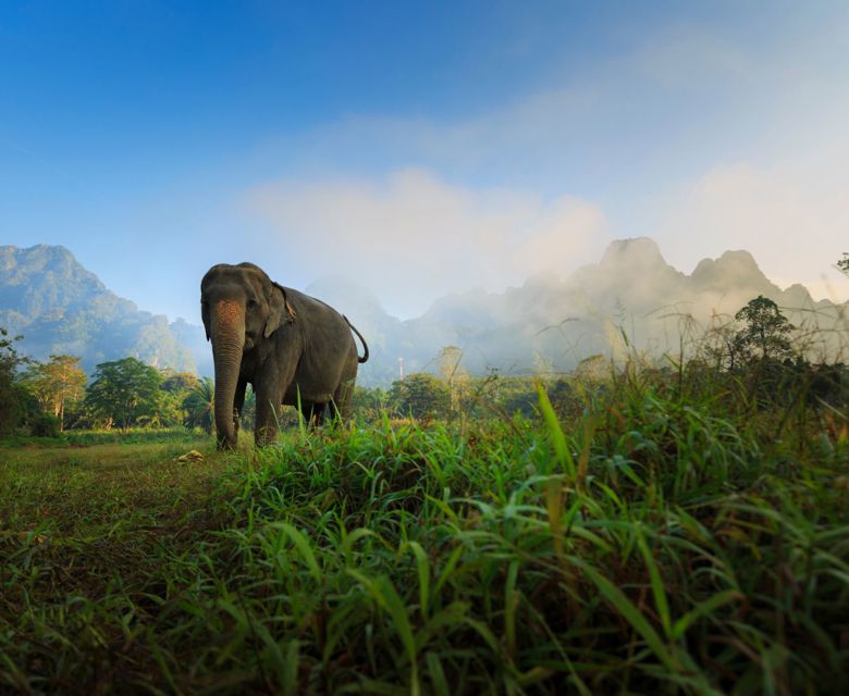 Elephant Hills