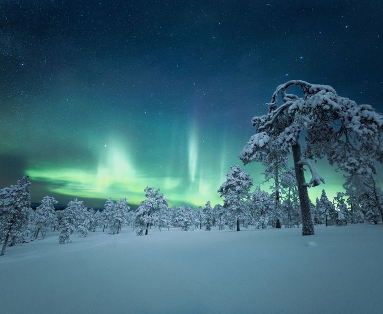 Aurora lights