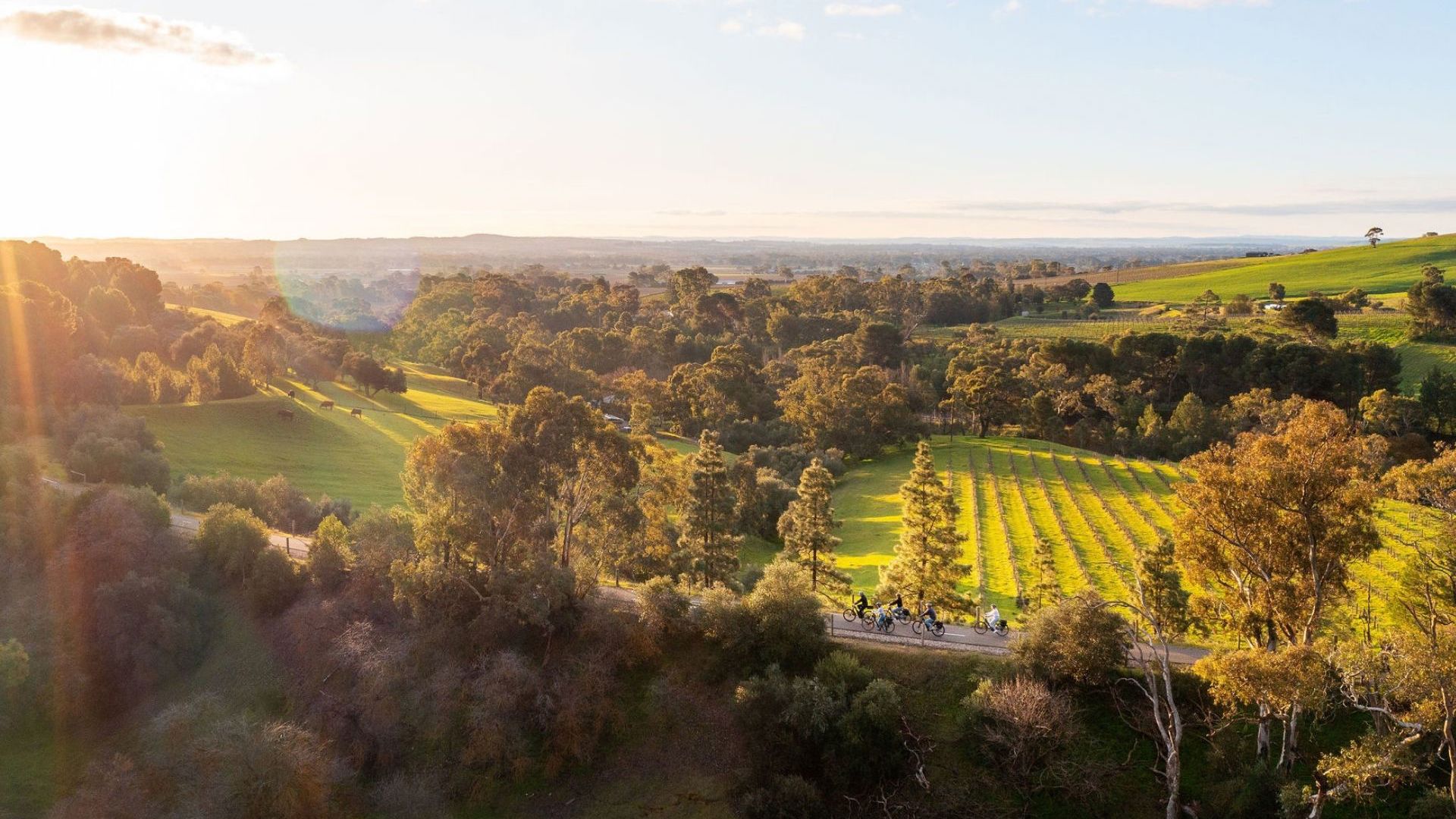Bikeabout Riding Barossa 2
