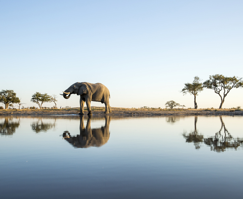 Africa 