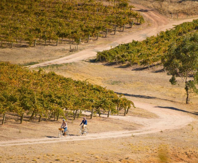 South Australia CR SATC Adam Bruzonne