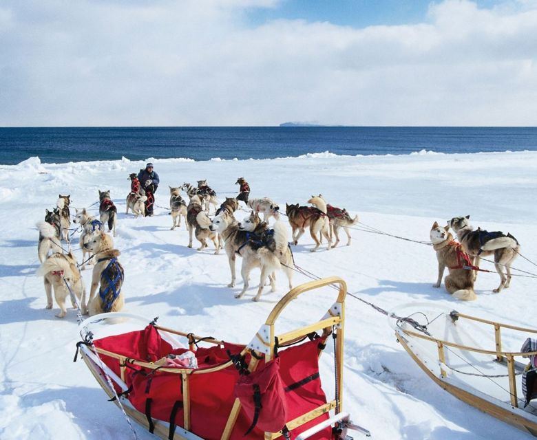 Dog Sled in Alaska