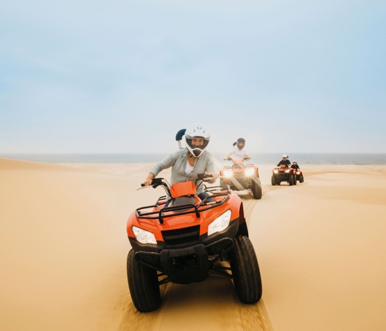 173718 Stockton Sand Dunes, Port Stephens