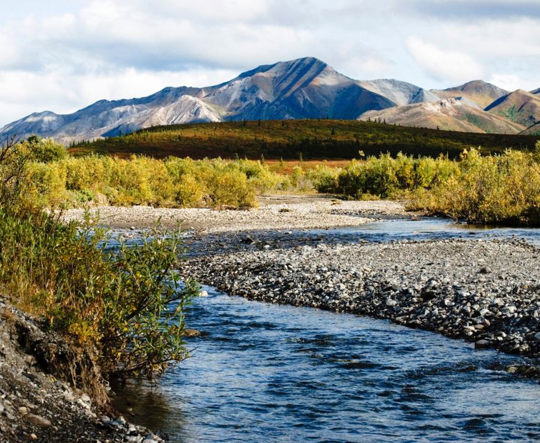 Denali National Park