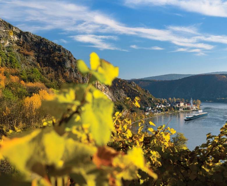 APT  Ostara - Solara Danube River