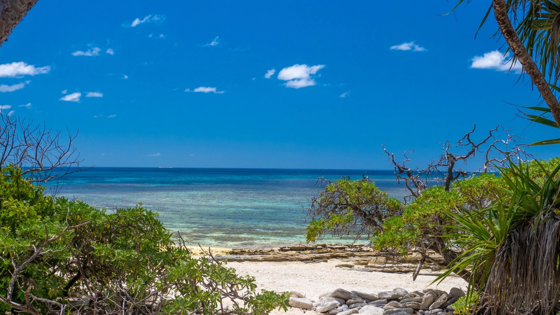 Wilson Island 3