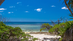Wilson Island 3