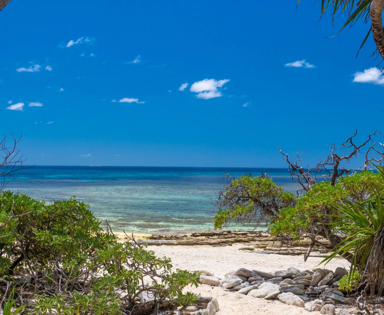 Wilson Island 3