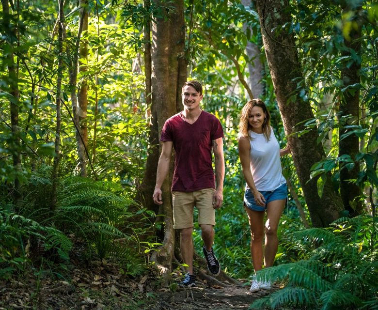 Byfield Rainforest walk